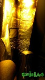IMAG0209.jpg