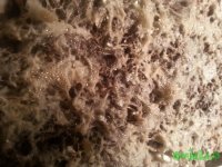 20150816_1215551.jpg