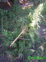 2015-08-16 15-48-42.JPG