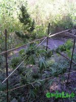 2015-08-16 15-49-12.JPG