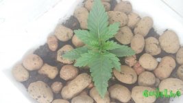 20150816_191703 — копия.jpg