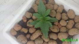 20150816_191707 — копия.jpg