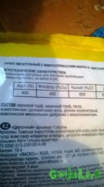 WP_20150817_002.jpg
