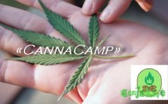 cannacamp_.jpg