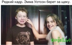 6033841.jpg