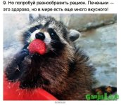 HQpWbhL2A-g.jpg