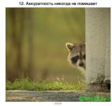 Uf11iVK6kbU.jpg