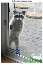 NlyWp_zBM6M.jpg