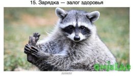 ahDwfs7enSw.jpg