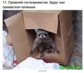 KQ_DG8QCB2o.jpg