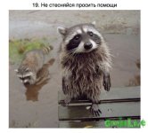 Za_P4eqe4Ls.jpg