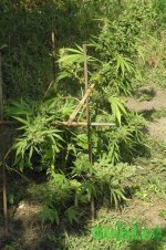 2015-08-21 14-52-17.JPG