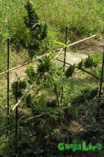 2015-08-21 14-53-33.JPG