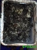 Вторая волна 2.jpg