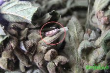 2015-08-21 13-47-20.JPG