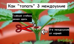 19 top-to-3rd-node(1).jpg 19 top-to-3rd-node(1).jpg