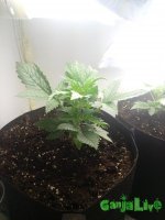 20150823_192318.jpg