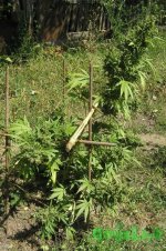 2015-08-24 11-50-04.JPG