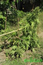 2015-08-24 11-50-16.JPG