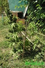 2015-08-24 11-50-53.JPG