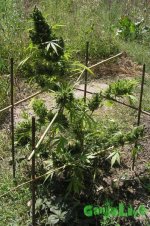 2015-08-24 11-51-06.JPG