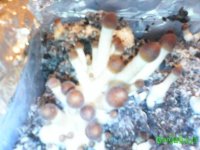 Вторая волна 4.jpg