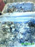 Вторая волна 5.jpg