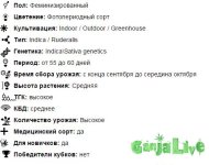 Описание.JPG
