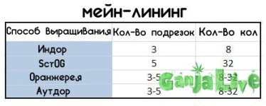 40 main-lining-chart-number-times-to-top.jpg 40 main-lining-chart-number-times-to-top.jpg