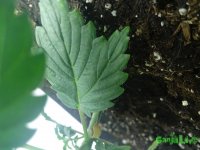 20150825_194935.jpg