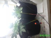 20150825_195137.jpg
