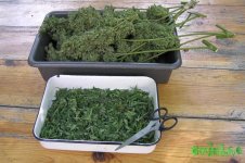 2015-08-26 15-17-12.JPG