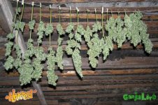 2015-08-26 15-24-58.JPG