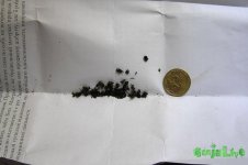 2015-08-26 16-27-58.JPG