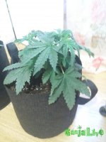 20150827_135918.jpg
