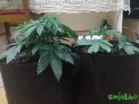 20150827_135844.jpg