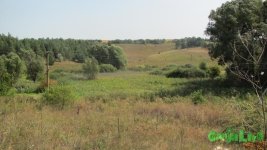 IMG_0356.JPG