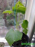 20150829_160518.jpg