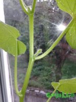20150829_160502.jpg