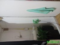 20150831_190853.jpg