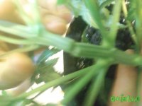 20150831_200848.jpg