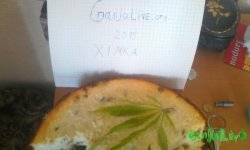 XIMKA.jpg