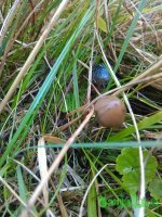 WP_20150902_013.jpg