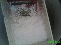 IMG142.jpg IMG142.jpg