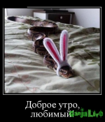 2015-08-27_150003.png