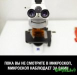 6143301.jpg