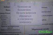 4diibx72INU.jpg