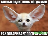 bX3zgDdaSFE.jpg