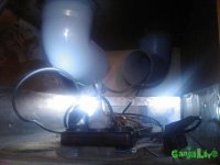 IMG009.jpg