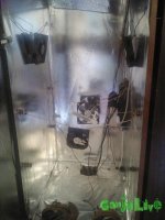 IMG012.jpg